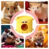 Liqzirtu Hamster Hideout House view 4