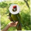 YARNOW Bird Protective Cone Collar view 3