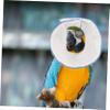 YARNOW Bird Protective Cone Collar view 4