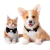 Eslifey Dog Collar with Bow Tie and Bell, Black Butterfly, Adjustable Lapel Design, for Small Pets, 2-Piece Set view 2