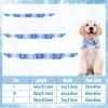 Cooling Collar for Dogs view 4