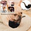PetPhindU Interactive Squeaky Chew Toy view 4