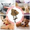 Dog Beach Hat - Comfortable Summer Hat for Pets view 4