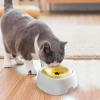 Slow Water Bowl for Dogs and Cats, 1.5 L, Spill-Resistant view 3