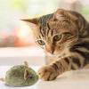 Cat Mice Toy | Sound Interactive Plush Mouse for Indoor Cats view 3