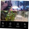 JUMPLAWN Air Stone Set for Fish Tanks view 3