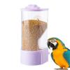 Automatic Bird Feeder view 1