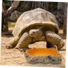 Reptile Water and Feeding Bowl with Rock-Look Platform view 3