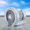Regenerative Blower, Single-Phase High-Pressure Vortex Ring Blower, Septic Air Pump, 180W/0.24HP view 1
