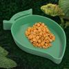 Reptile Feeding Bowls - Turtle Water and Food Dish view 2