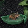 Reptile Feeding Bowls - Turtle Water and Food Dish view 3