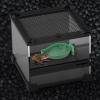 Reptile Feeding Bowls - Turtle Water and Food Dish view 4