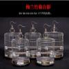 WOTZOV Round Iron Bird Cage view 4