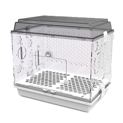 Portable Acrylic Bird Cage and Carrier, 20 × 14 × 6 cm