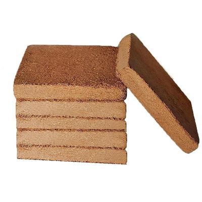 Bamberg 6-Pack Organic Coconut Coir Bricks for Plants