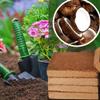 Bamberg 6-Pack Organic Coconut Coir Bricks for Plants view 3