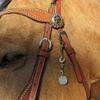 Bamberg Saddle and Bridle Clip view 3