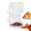 2-Pack Shrimp Feeding Bowl with Suction Cup view 1