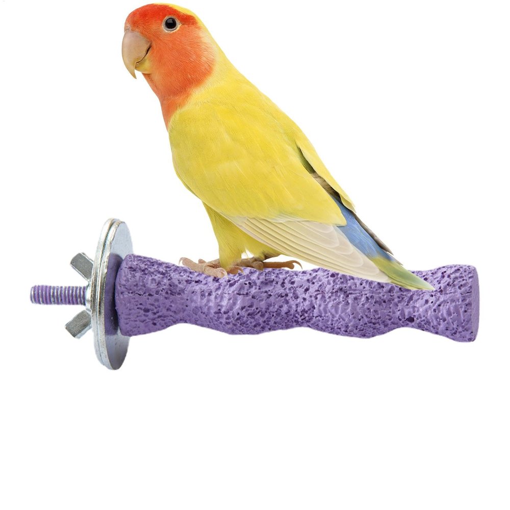 Bird Perch with Calcium Grinding Stone