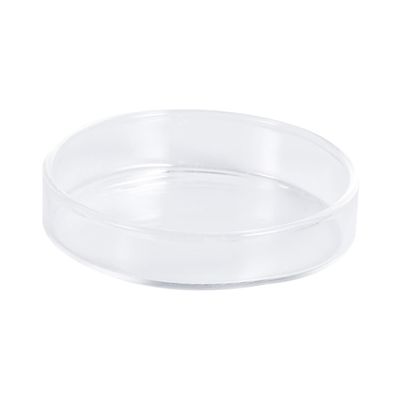 BESPORTBLE Transparent Glass Shrimp Feeding Bowl