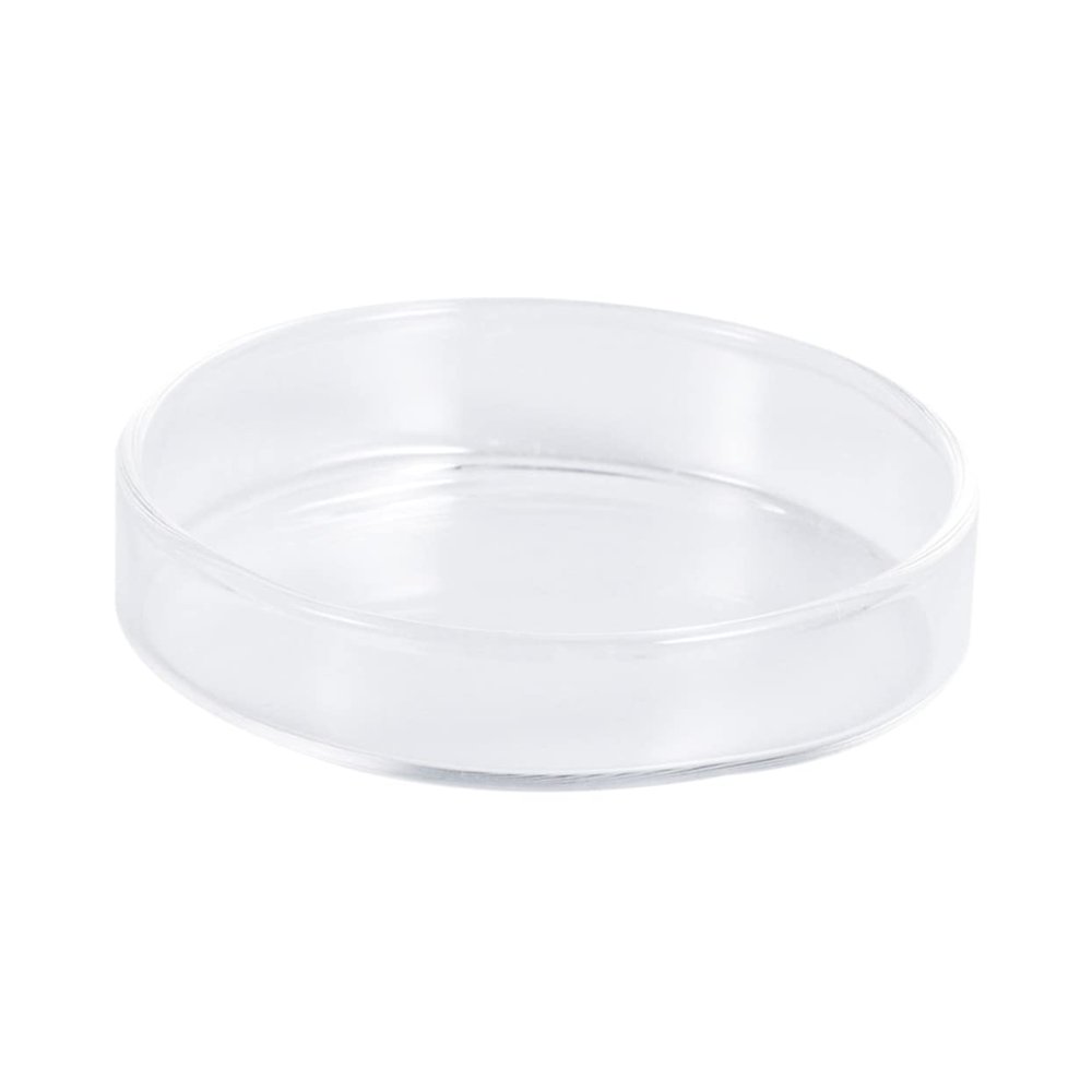 BESPORTBLE Transparent Glass Shrimp Feeding Bowl