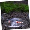 BESPORTBLE Transparent Glass Shrimp Feeding Bowl view 4