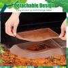 Turtle Bowl with Ramp, Unique Turtle Water Dish view 4
