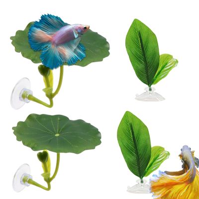 Mimoqk Fish Hammock with Suction Cup