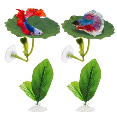 Betta Fish Leaves Hammock, 4-Pack