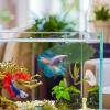 Betta Fish Leaves Hammock, 4-Pack view 3