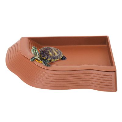 Unique Turtle Water Dish with Ramp