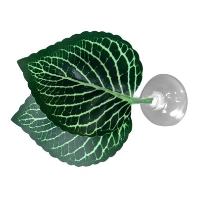 Aquarium Leaf Hammock