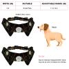 Adjustable Bow Tie for Cats and Dogs, 2 Pieces view 4
