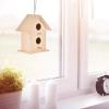 XuQiZZpp Bluebirds House view 4
