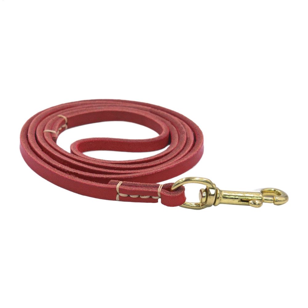 Dog Rope Leash, Ergonomic Lightweight Design, Comfortable Non-Slip Grip, Sturdy Flexible Construction, 61.02 x 0.24 x 0.04 Inches