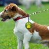 Portable Silicone Dog Ball Holder Clip view 2