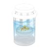 Fish Breeder Box - 14.3 x 9.3 cm Floating Isolation Box view 4