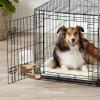 Hangable Automatic Dog Feeder for Cages view 2