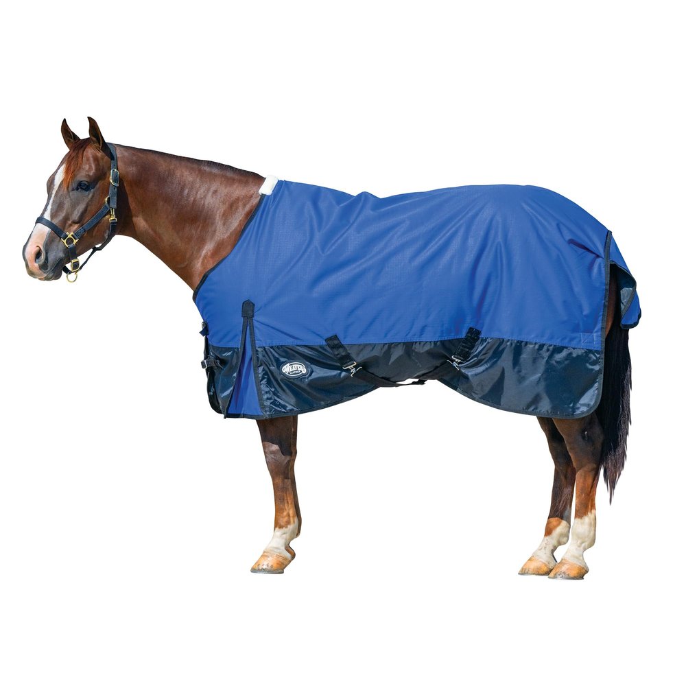 Weaver Leather Uni Adult Economy Turnout Blanket, 1200D, Dazzling Blue, 75 in
