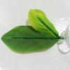 Fish Leaf Pad with Adjustable Suction Cup Hammock view 3