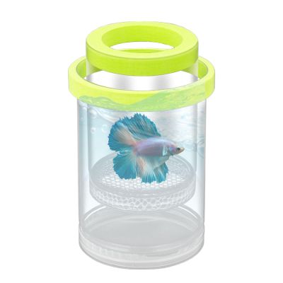 Fish Breeding Box
