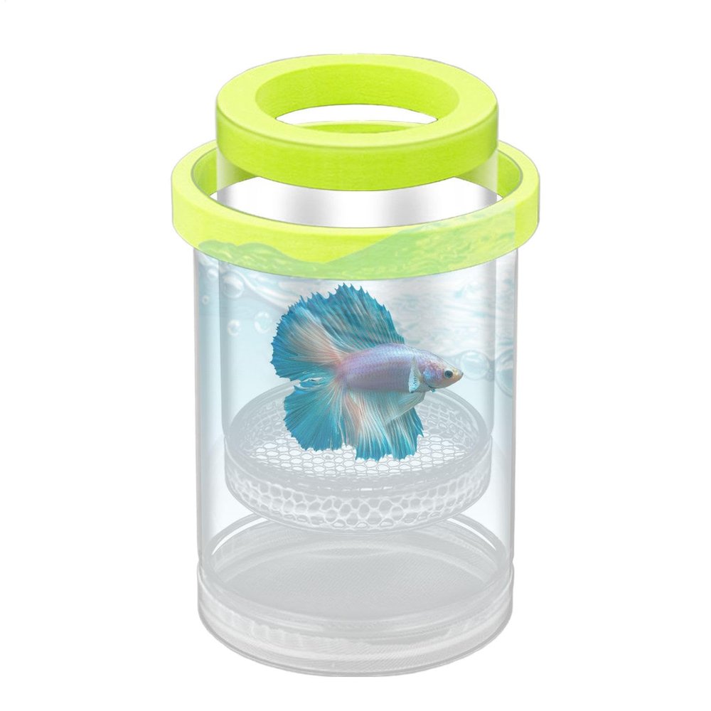 Fish Breeding Box