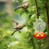 Windproof Hummingbird Feeder for Outdoors, 40 Ounces view 2
