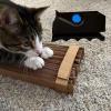 Cardboard Strip Cutter for Cat Scratchers view 3