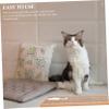 Sosoport Cat Scratching Board view 4