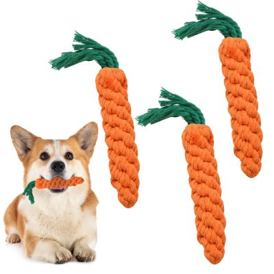 CIYIN 3-Pack Carrot Chew Toys