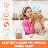 CIYIN 3-Pack Carrot Chew Toys view 2