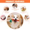 CIYIN 3-Pack Carrot Chew Toys view 3