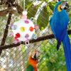 Huvqianu Parrot Toys view 4