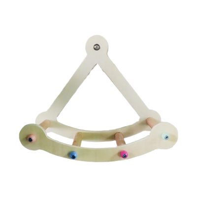 Pirate Ship Bird Swing and Climbing Toy